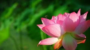 Kiểm định bằng công nghệ cao